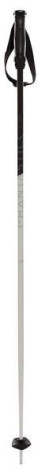 Kije narciarskie Volkl 1016 Phantastick III