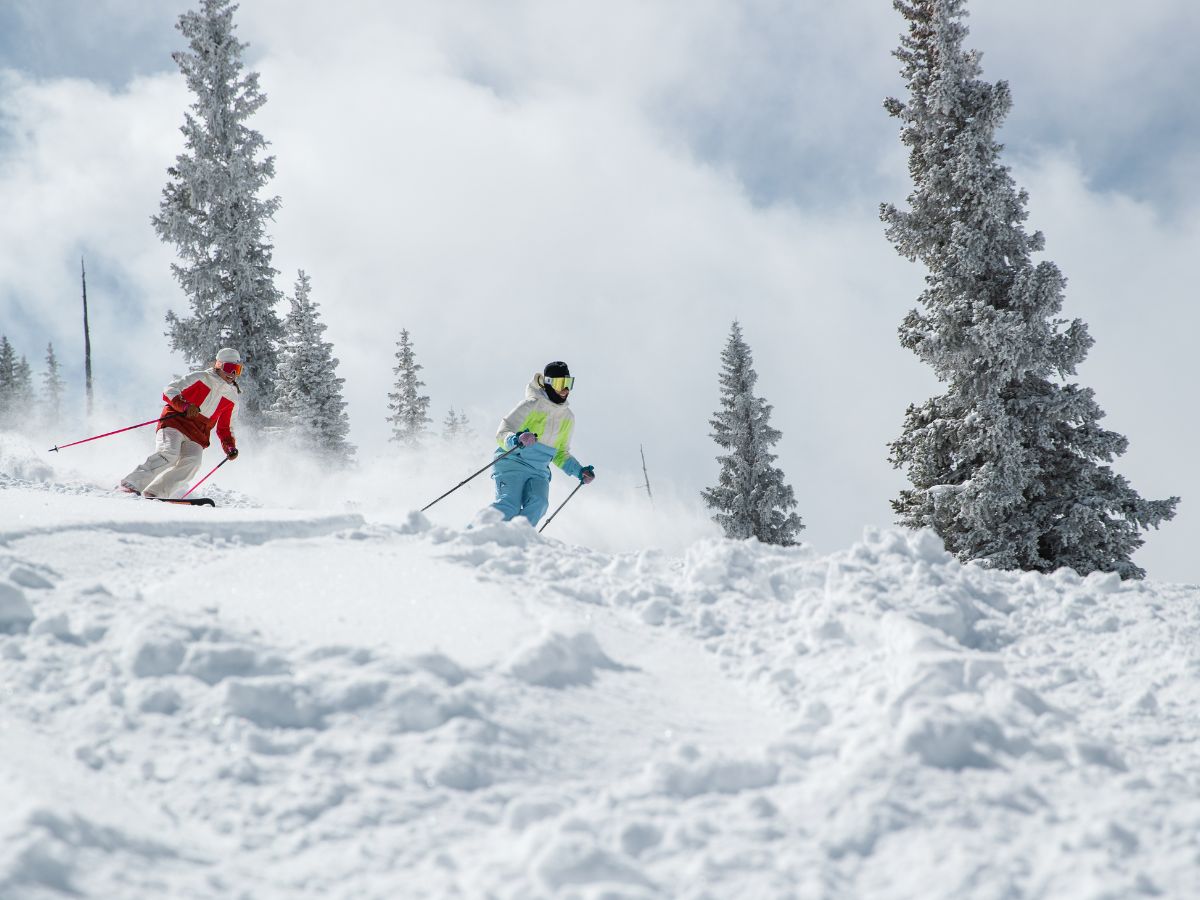 narty_zjazdowe_ski_team